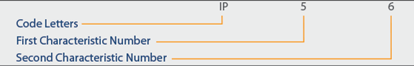 IP